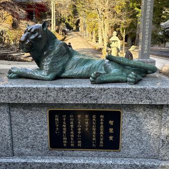 智慧虎

ボケないように頭を撫でる人、足の痛みがなくなるよう足をさする人　　etc