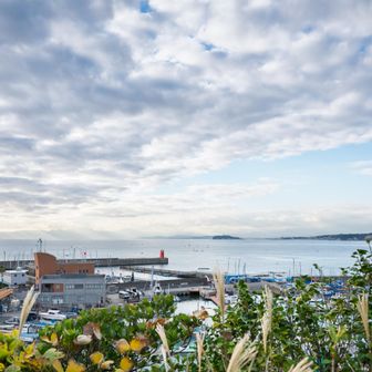 木々の間から富士山スポット