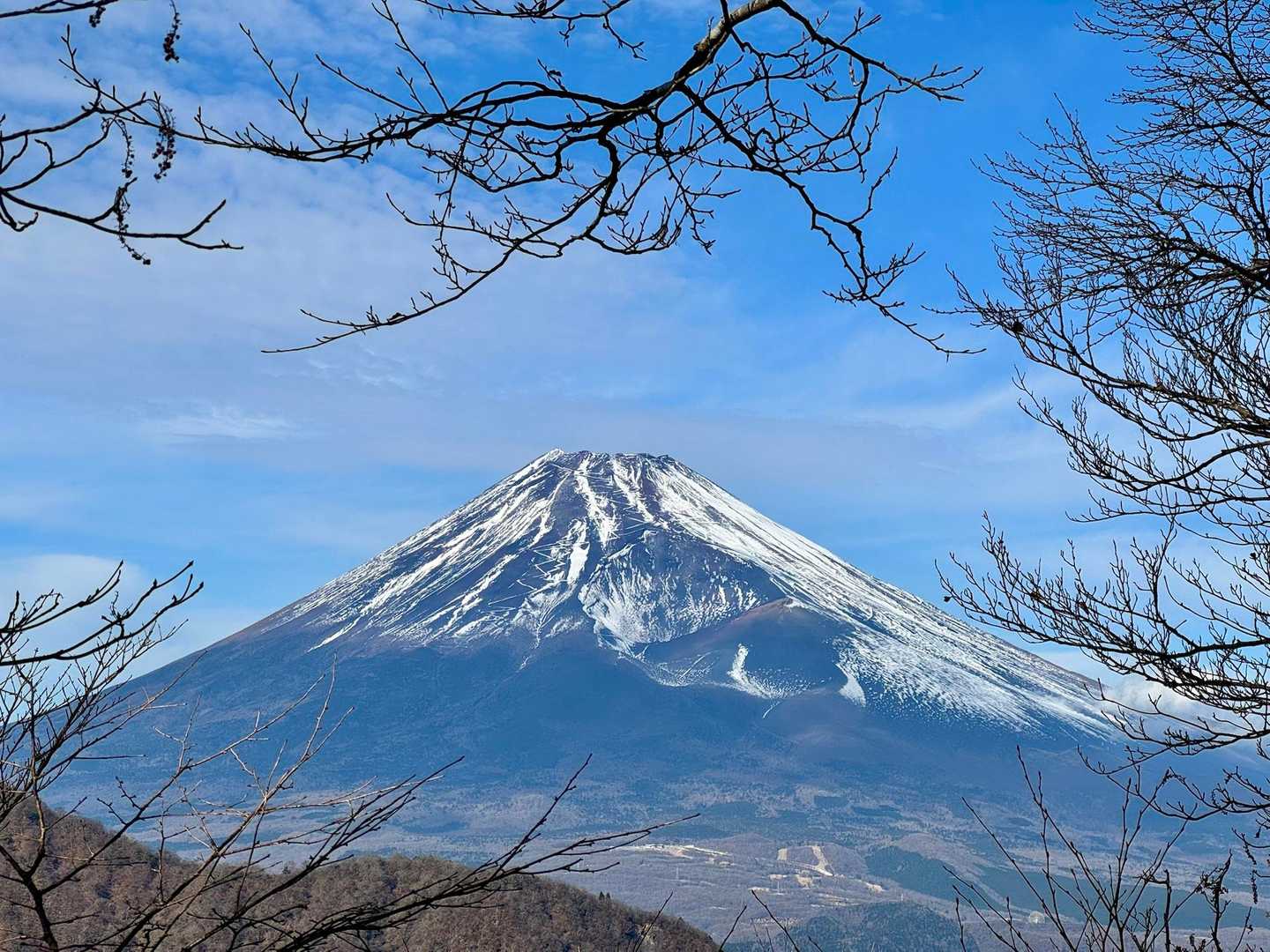 どーん❗️