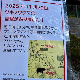 ‼️
今朝じゃん🐻