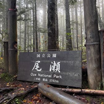 木道が滑りまくりで、