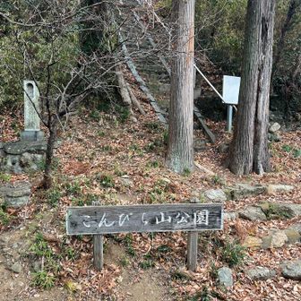 ついでに寄っていく