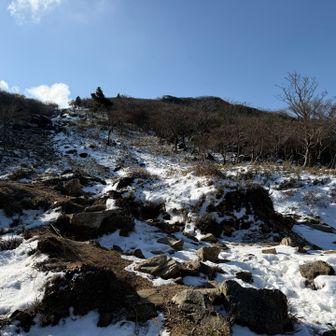 ここから御在所山にまっすぐ登ります。沢を詰めて登るとスキー場に出ます