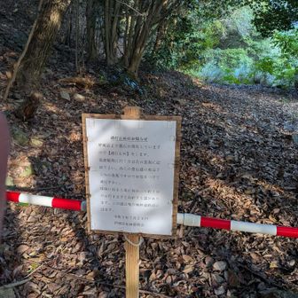 落石有りで通行止めみたいでした。見に行ったら道もわかりにくい状態で諦めて遠回りする事にしました💦
この辺りから足が攣りかけてきました😵😵‍💫😖