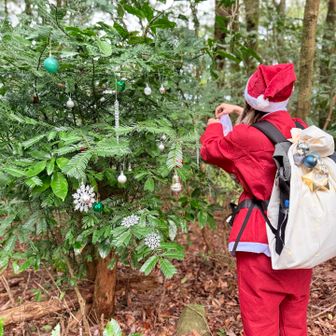 🎅🏻飾り付け🔴⚪️🟢🔔❄️🧊