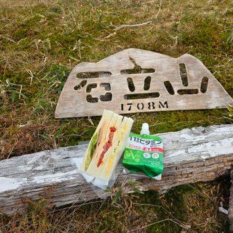 昼食はサンドイッチ