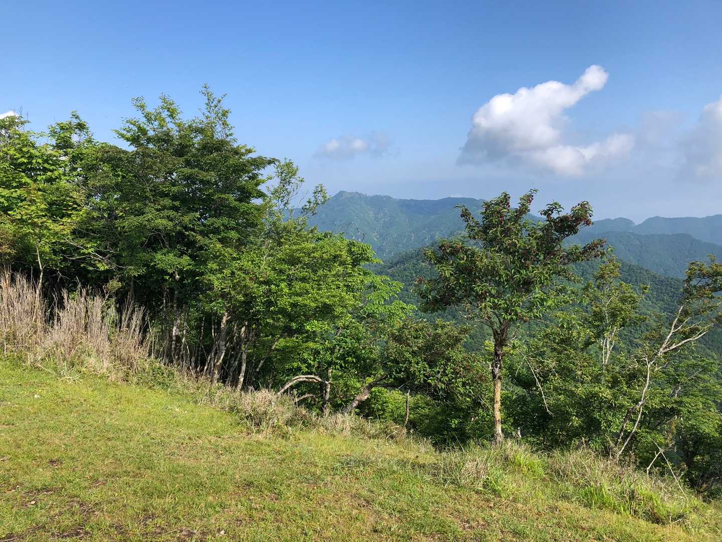高丸山登山口-三つ尾の峠-高丸山-雲早山 周回コースの写真