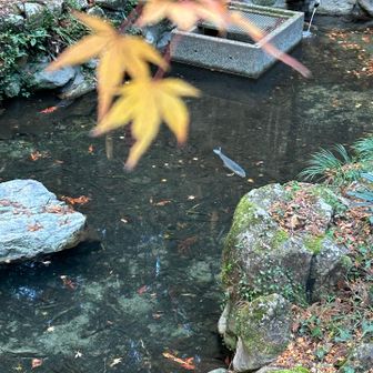 ステキな日になりそうな予感😊