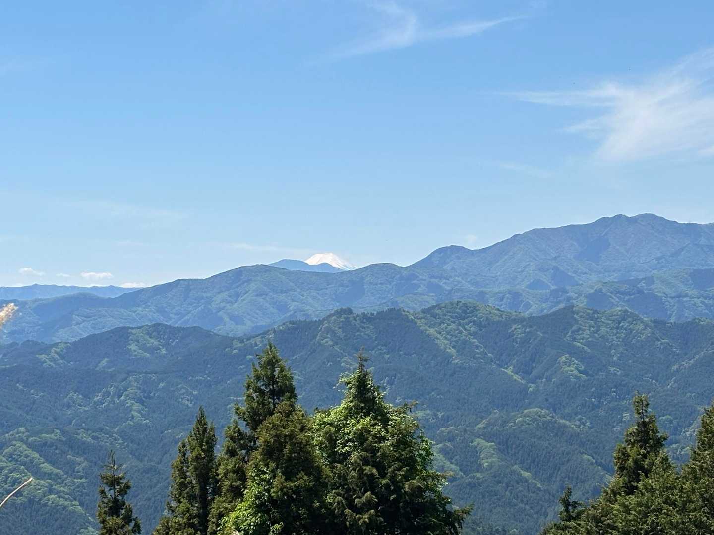 登っていくと　車道に出た

富士山が見えるじゃありませんか💕