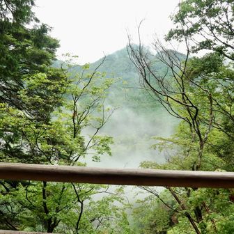 お堂の横から