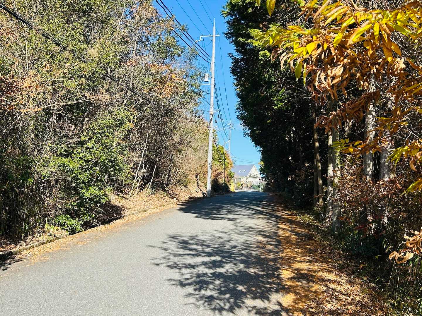 三草山登山口の駐車場に車を停めてしばらくロード歩きます🚶
やたら別荘が多いです🏠