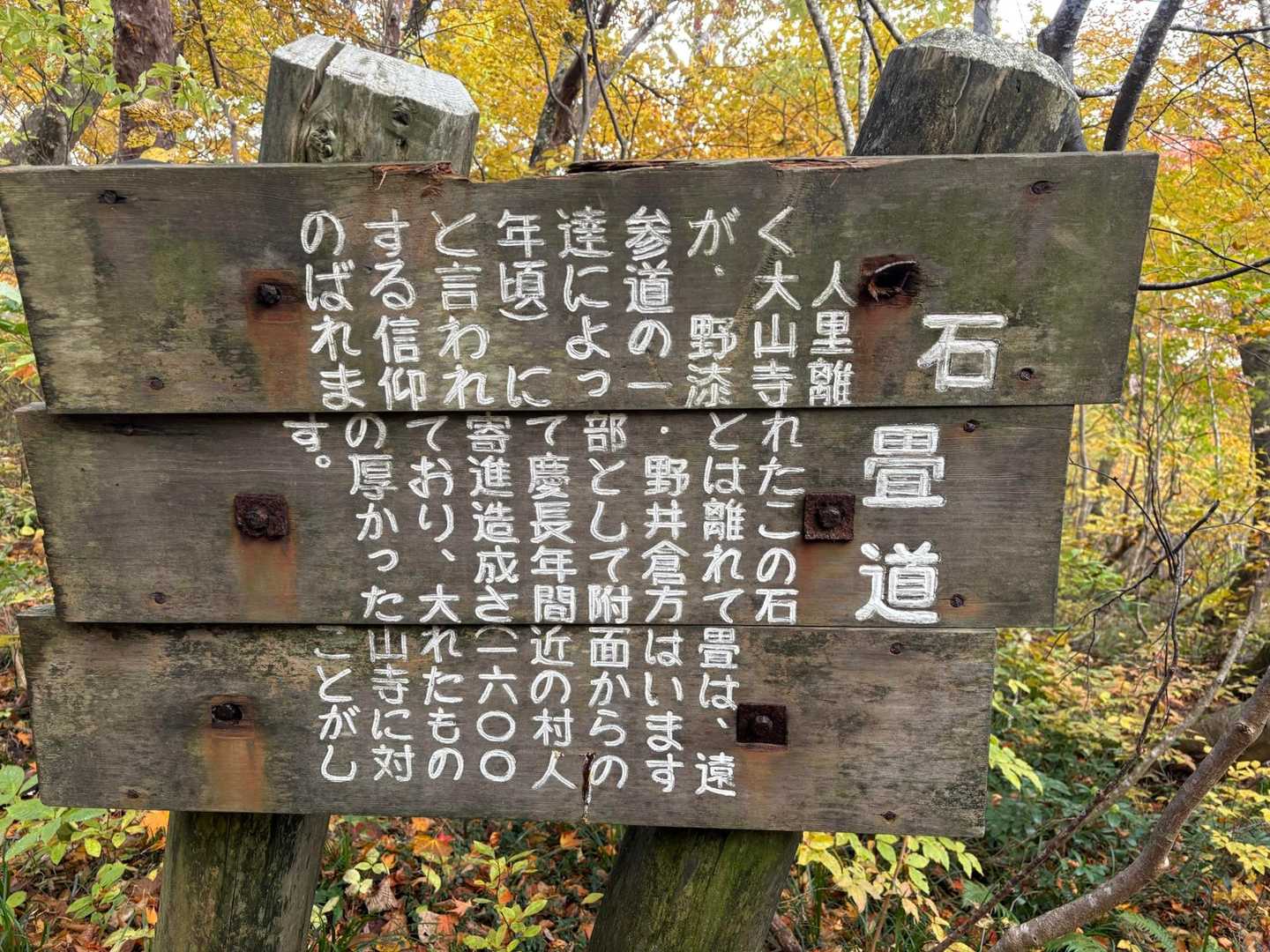 なんとか読めた😆✌️