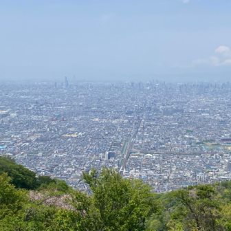 ぼくらの広場から市街地を