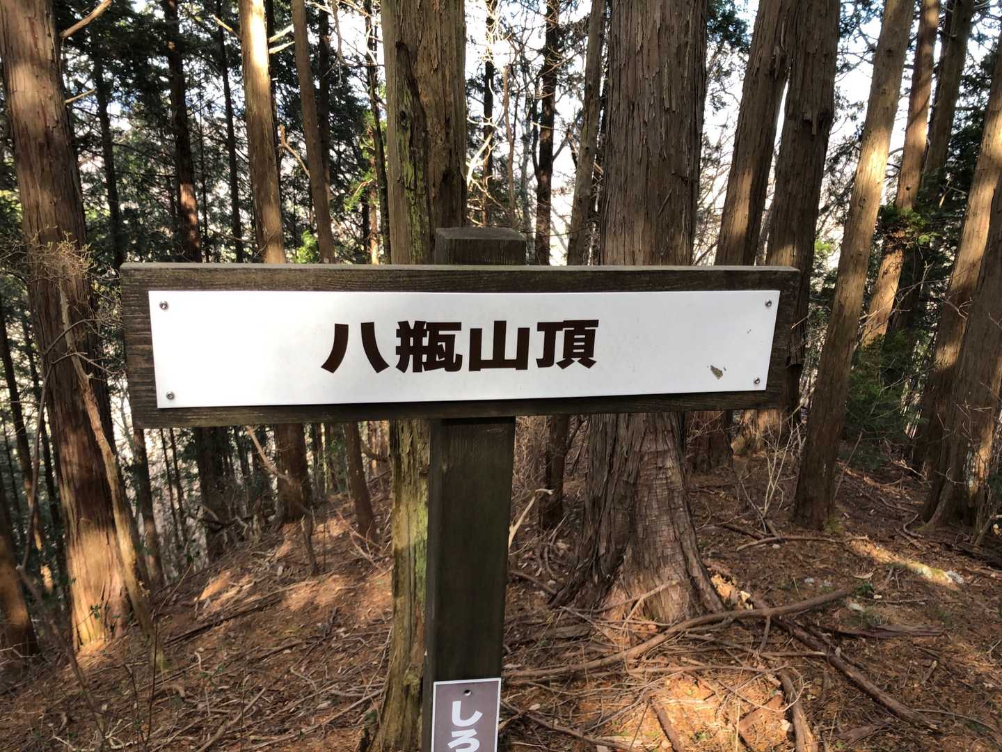 八瓶山山頂