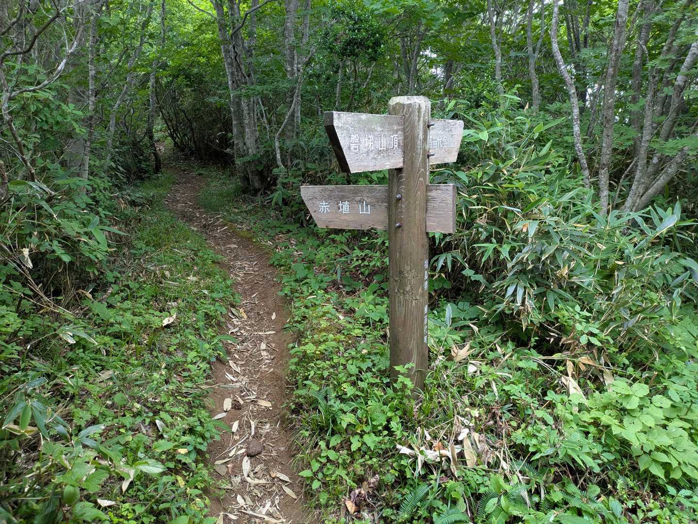 赤埴山分岐
帰りも赤埴山に登っていきます