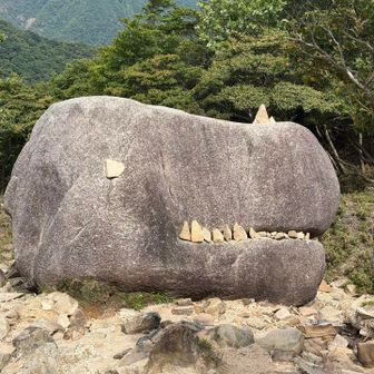 毎回感じが違う
