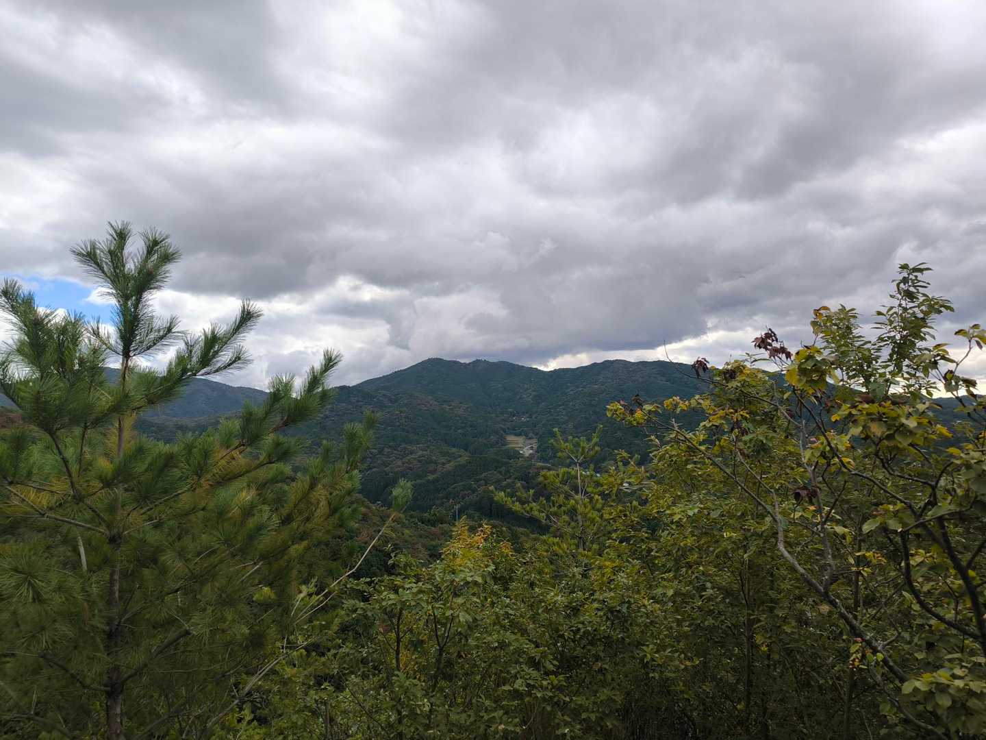 山頂より
炮烙山の謎の塔が見えました