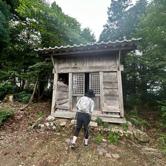 かえるんさんも覗く