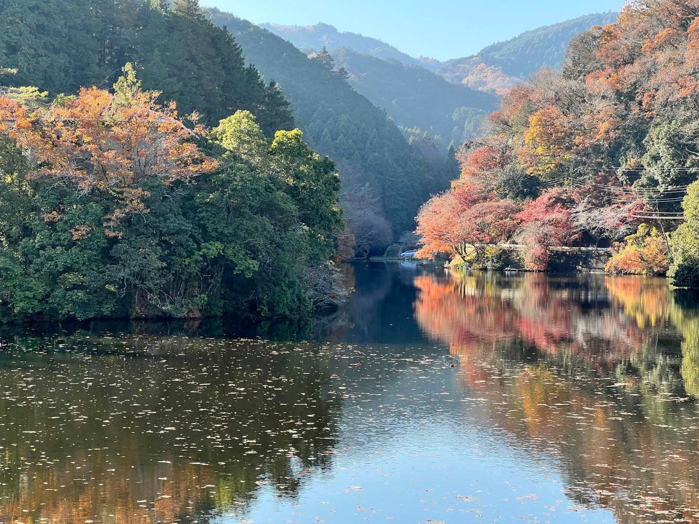 鎌北湖、何回も来ていますが紅葉の時期に来たのは初めて✨新緑も綺麗ですが、紅葉🍁はやはりいいですね。