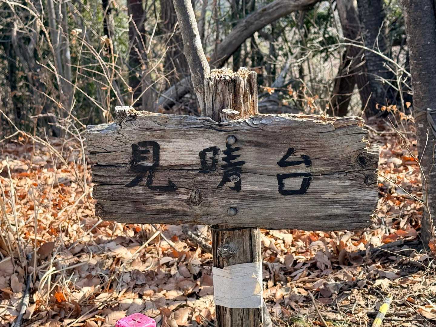 見晴台に到着✨