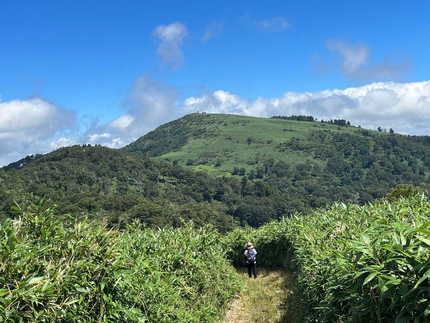振り返ったら、びっくり、この景色
さっきまでいた山頂とトイレが見える！
