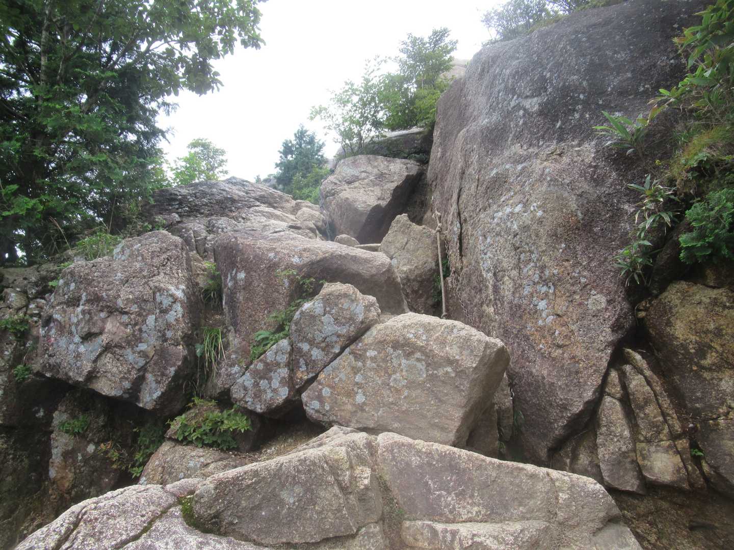 中登山口-武平峠-鎌ヶ岳-弥一ヶ岳 周回コースの写真