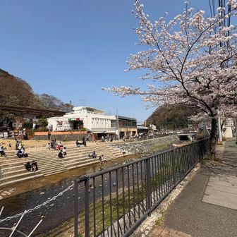 みなさん川辺でのんびり過ごしていました😊