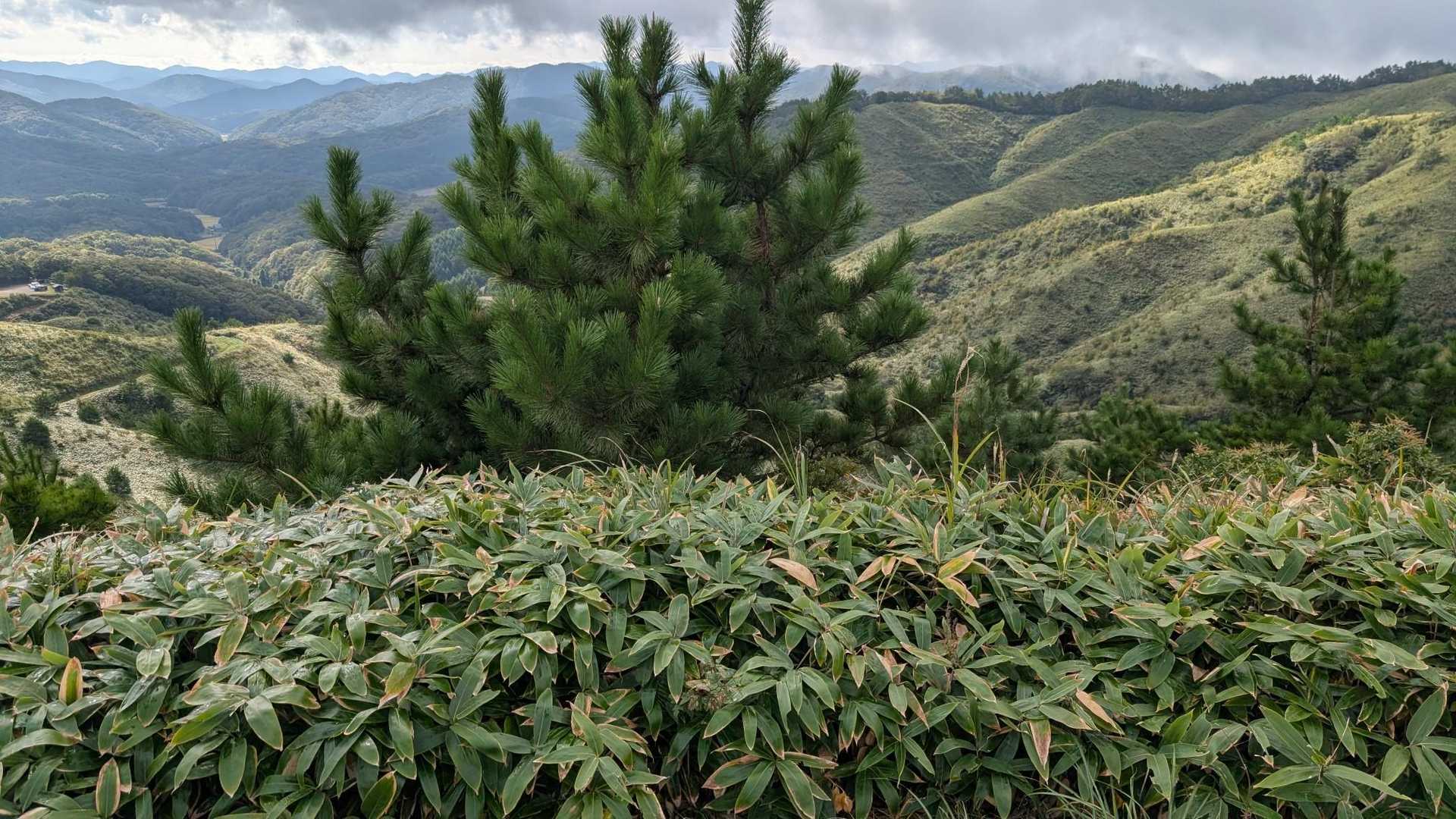 高山山頂