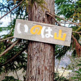 🙌トウチャコ👯