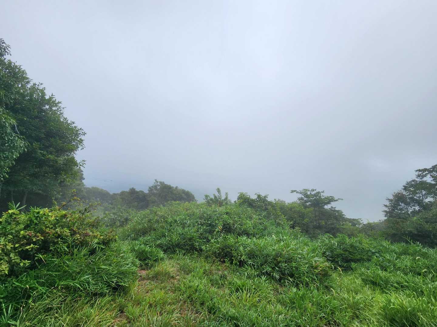 梅田峠-神石山 -太田峠跡-多米峠-霊屋の峰-大知波峠 縦走コースの写真