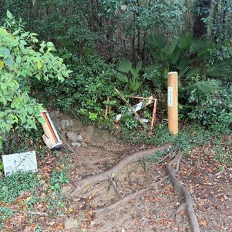 登山口。蚊が多く、虫除けかけてくるべきでした🌀