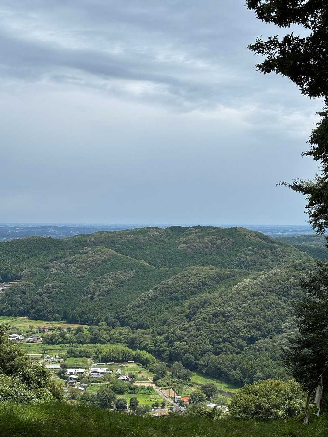 仙元山 往復コースの写真