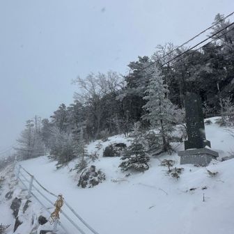 鳥居と神社あった⛩️