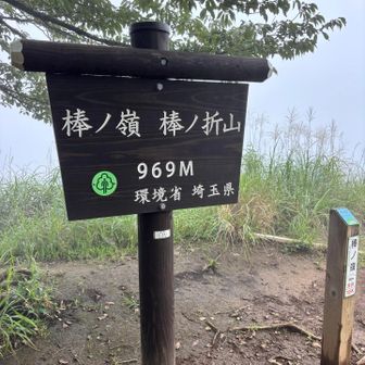 いつもは賑わう山頂も天気のせいか静かでした