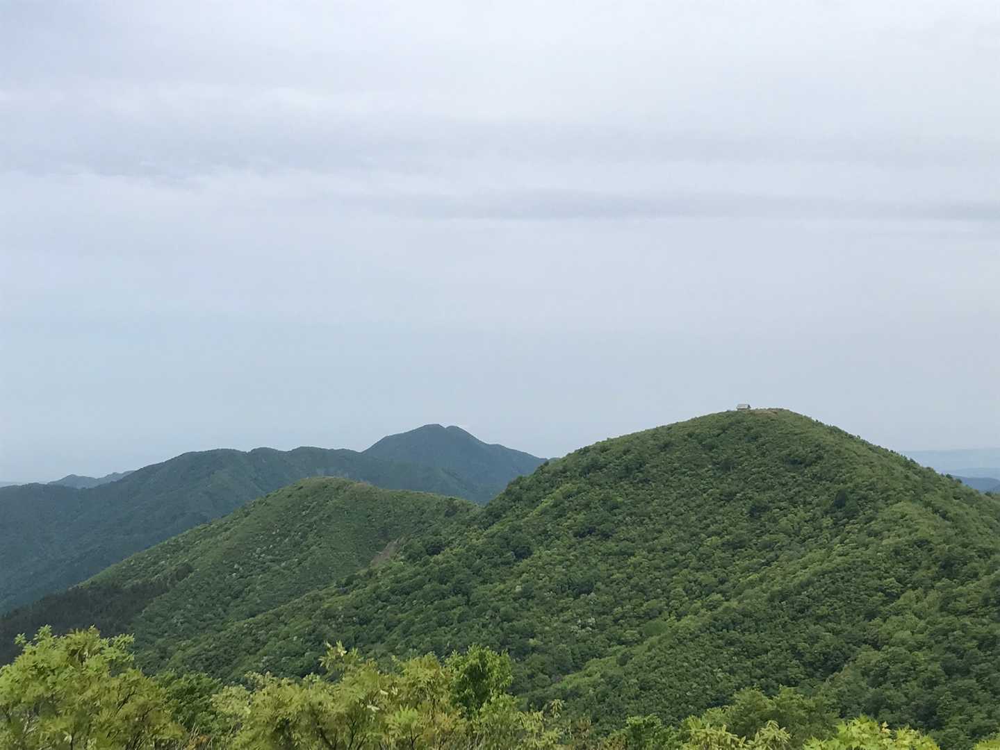 奥に富士写ヶ岳、その下が北丈競〜南丈競の稜線…よぅ歩いたなぁ。