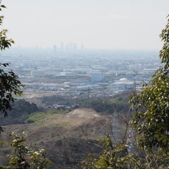 名古屋の高層ビルがなんとか見えます