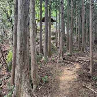 上に東屋が見えてきました😃