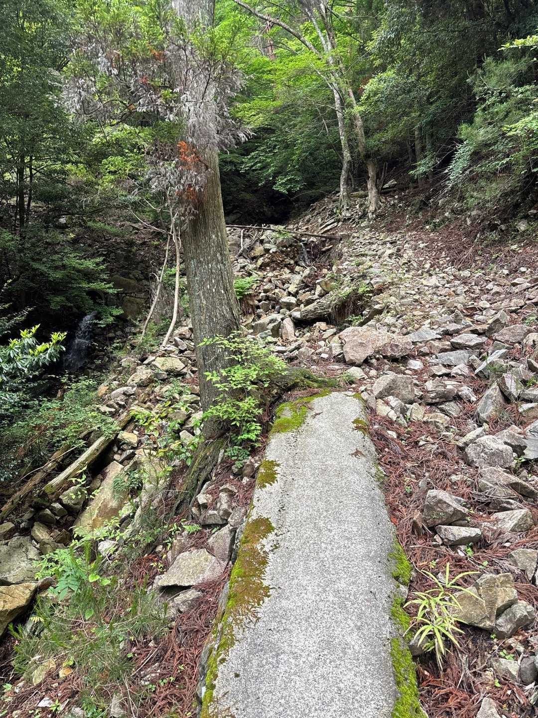この様に　舗装路の上に　乗っかってるので
歩きにくいです