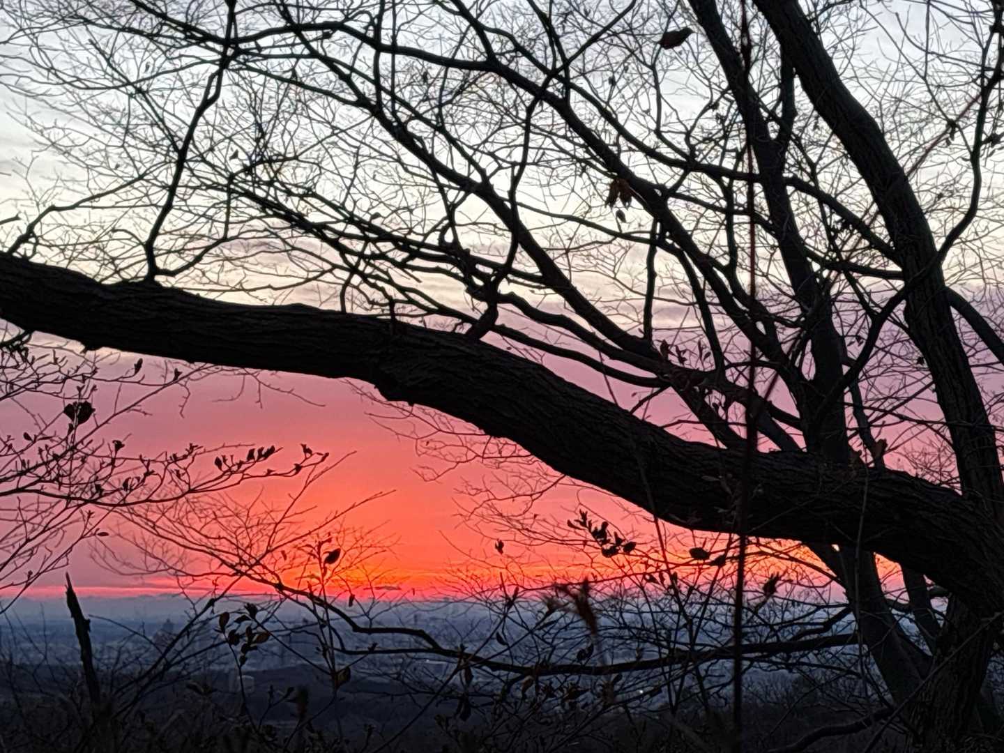 途中、朝日🌅が昇始めてそらが赤く染って綺麗でした😍