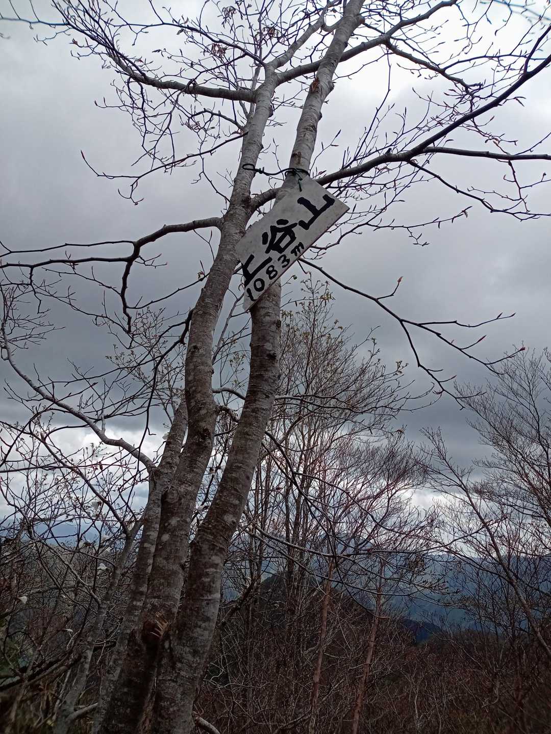 上谷山(うえんたに山)着🙆