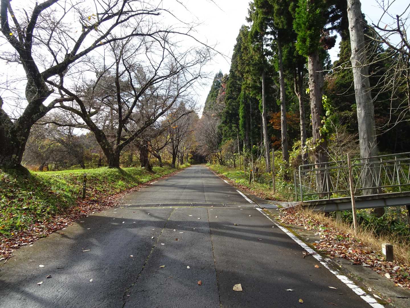 ちょっと道路歩いて・・・