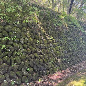 追分キャベツ15段積み