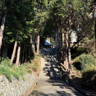 本堂までの階段を登ります（戻ります）