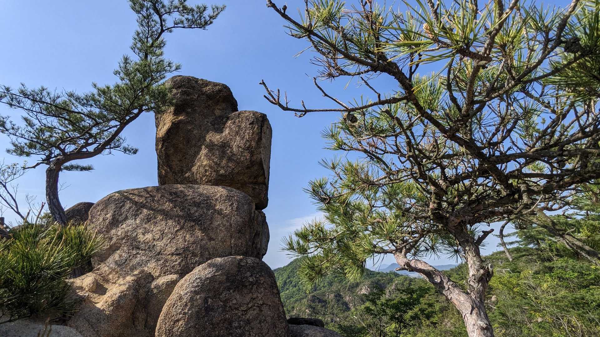 上桐生登山口-天狗岩-さかさ観音 周回コースの写真