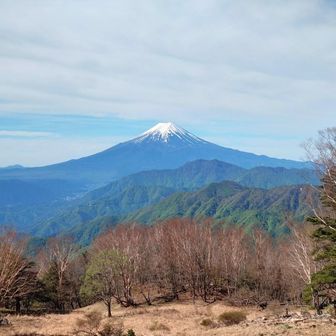雁ヶ腹摺山山頂から
さすが秀麗富嶽十二景の一番山域
この景色は旧500円札に採用されてさたんですね😳
