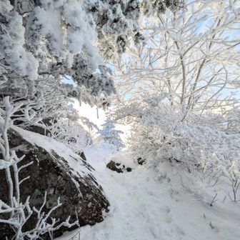 下山しますよ😁