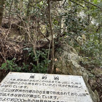 登り初めてしばらくするとあった
魚釣岩🪨