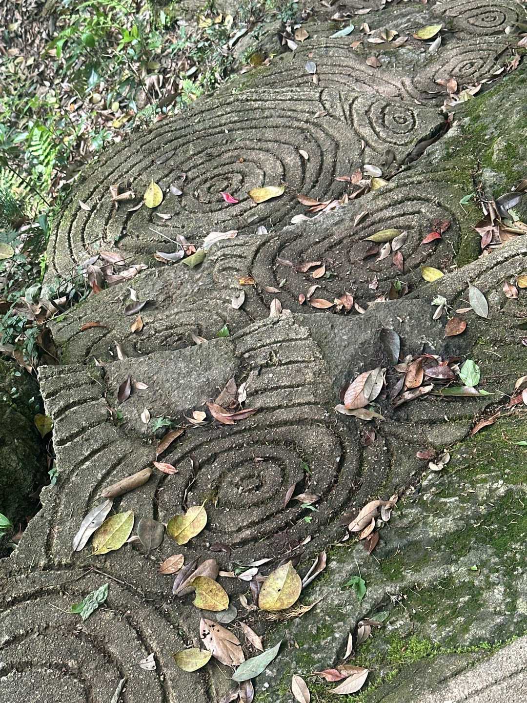 ここ、私お気に入りの年輪階段😊