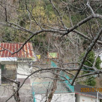 生駒縦走歩道の後半はケーブル高安山駅からスタート。張り切って朝８時過ぎに下の信貴山口駅に着いたものの、ケーブルの平日始発は９時半でした。駅出たとこの小高くなったとこに上ってみた。