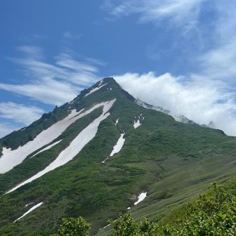 利尻山はカッコいいですな。
